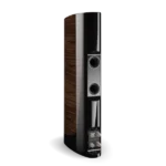 Dali Epicon 6 - oreh sijaj