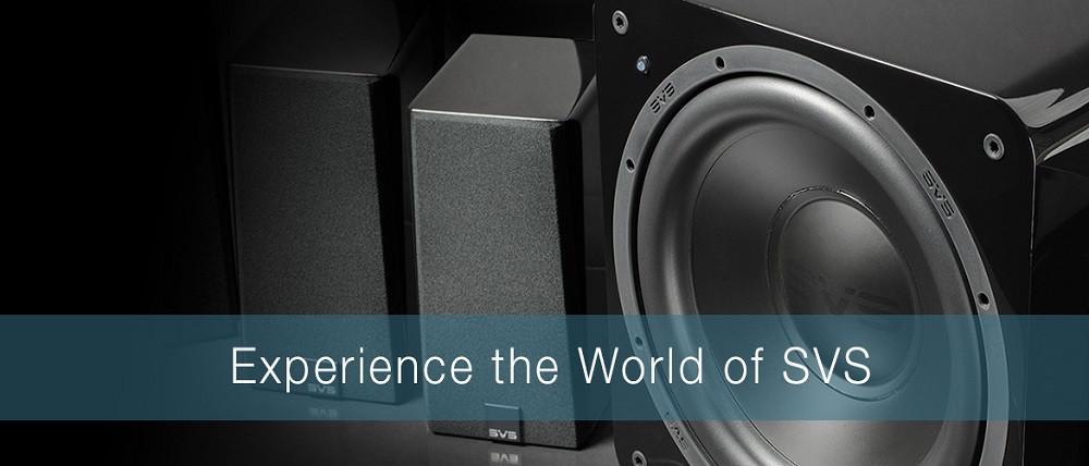 SVS experience banner@x