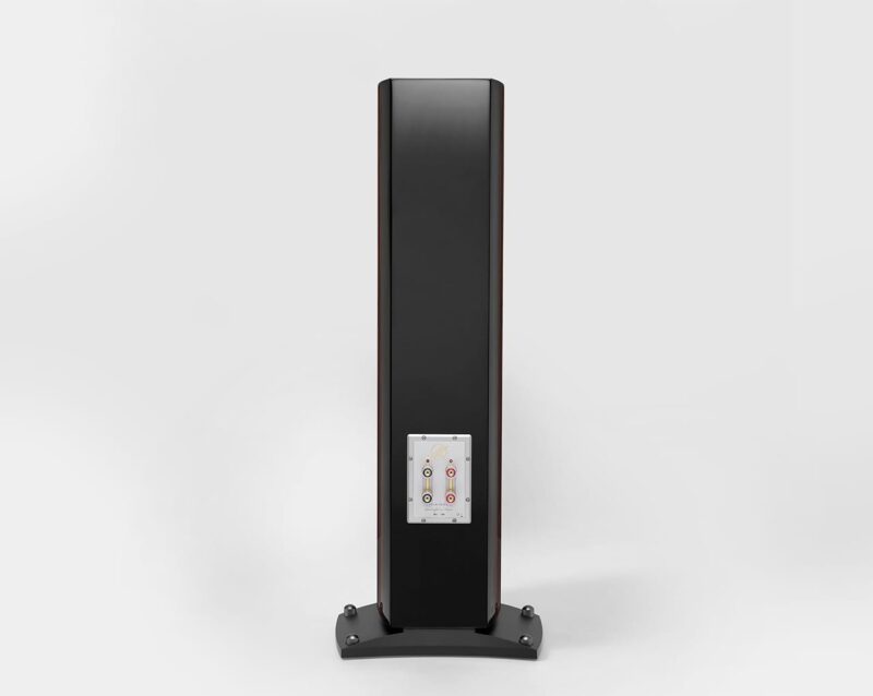 Triangle Magellan Cello 40th anniversary - zebrano