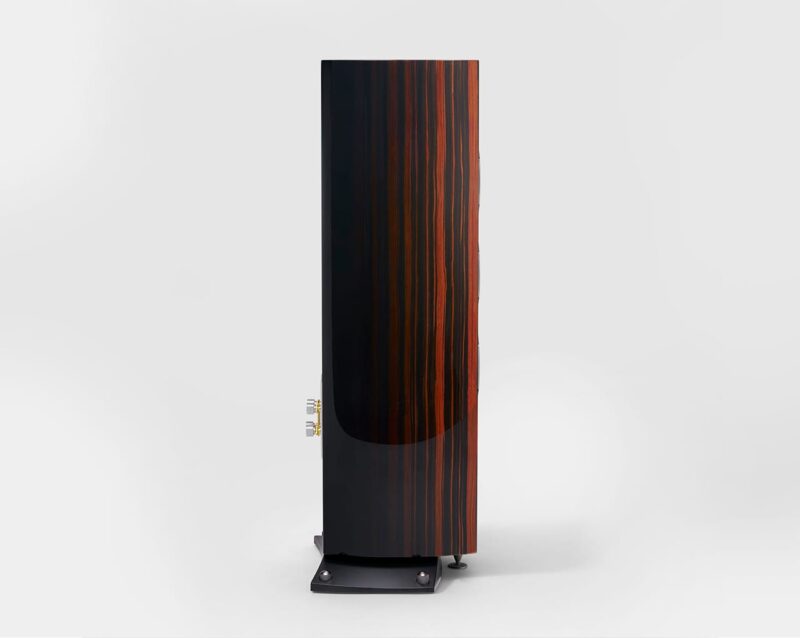 Triangle Magellan Cello 40th anniversary - zebrano