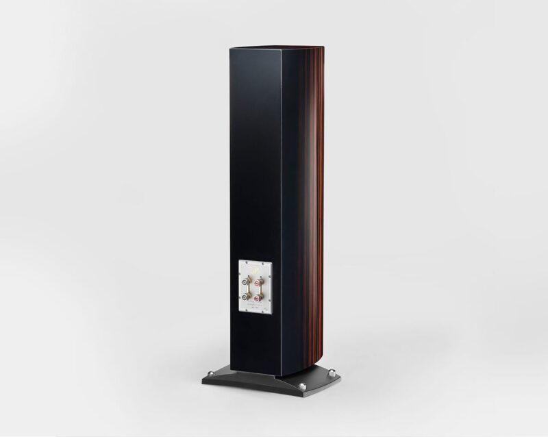 Triangle Magellan Cello 40th anniversary - zebrano