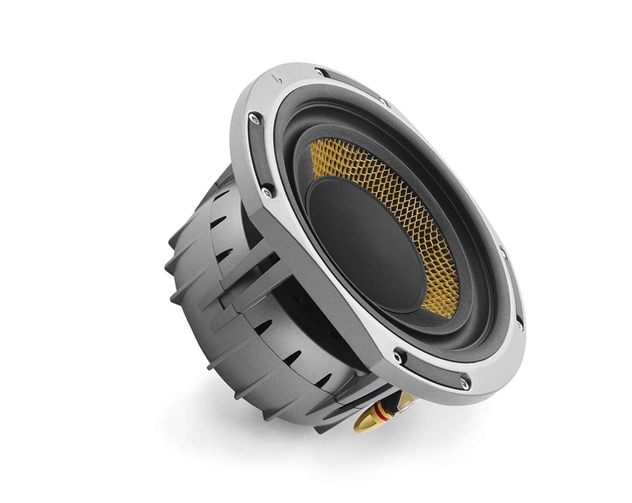 Triangle Magellan Cello 40th anniversary