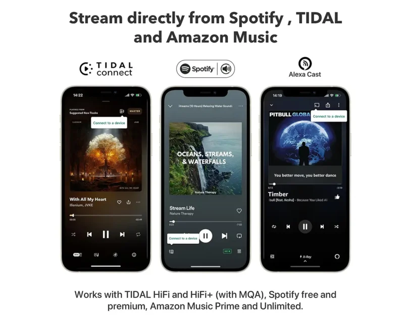 WiiM Pro Plus Audio Streamer