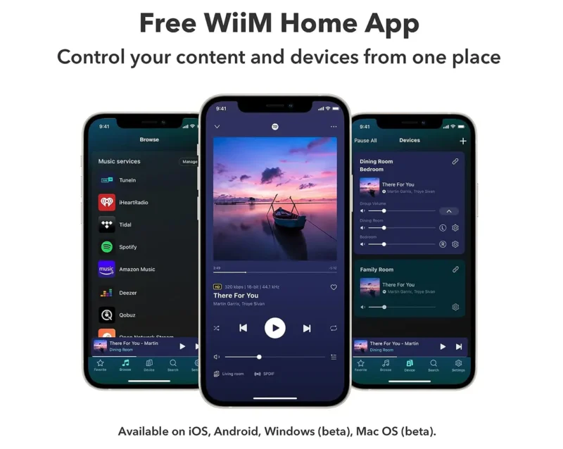 WiiM Pro Plus Audio Streamer