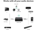 WiiM Pro Plus Audio Streamer