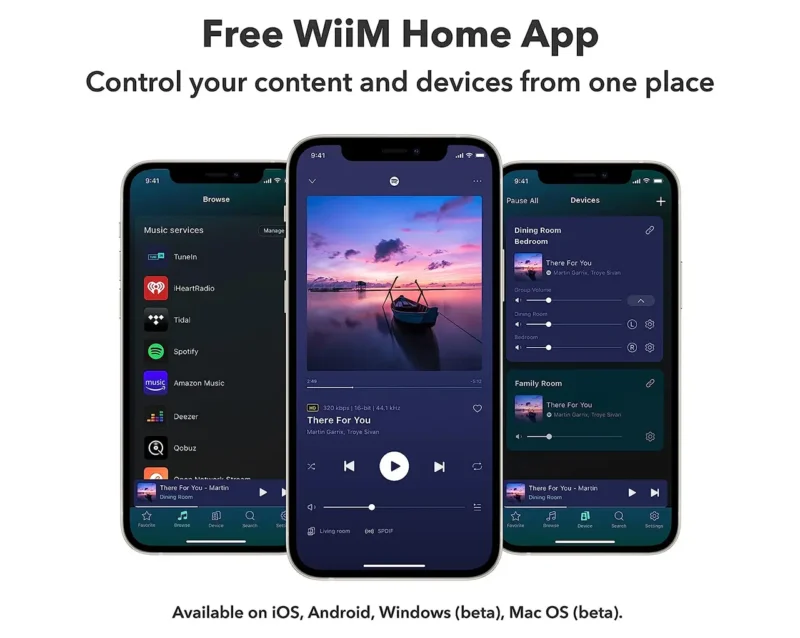 Wiim Mini audio streamer