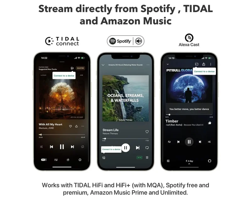 Wiim Mini audio streamer