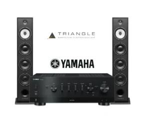 YAMAHA R-N1000A | Triangle Borea BR09