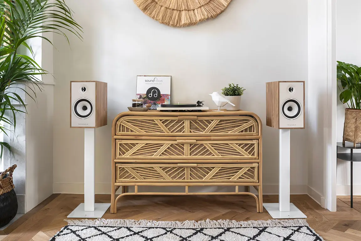 image-wordpress-bt-bloc-support (1)