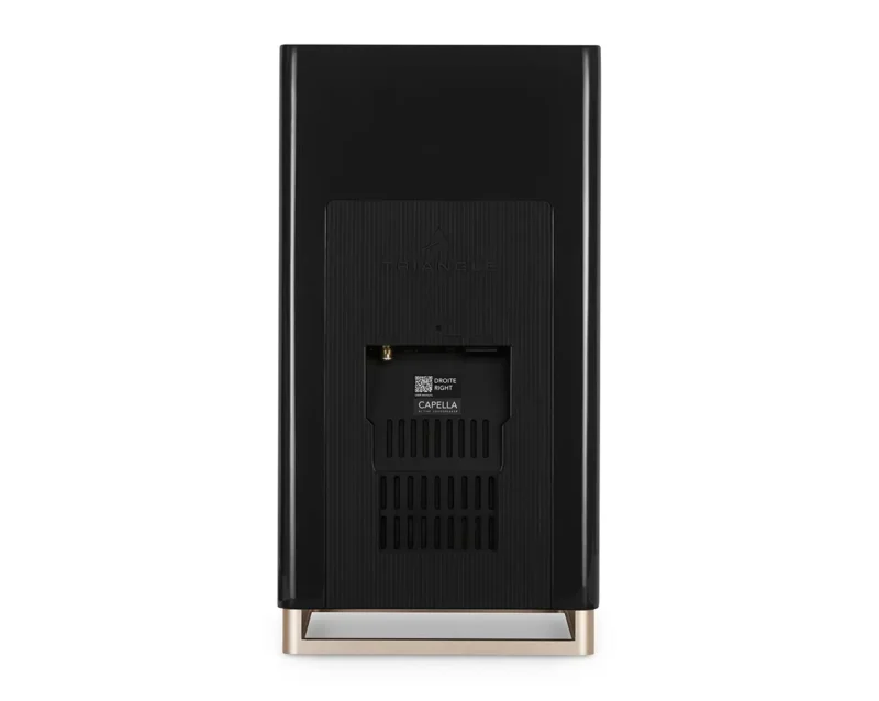 Aktivni bezžični zvočniki Triangle CAPELLA - black star