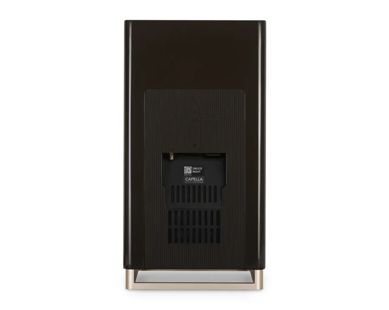 Aktivni bezžični zvočniki Triangle CAPELLA - brown nebula