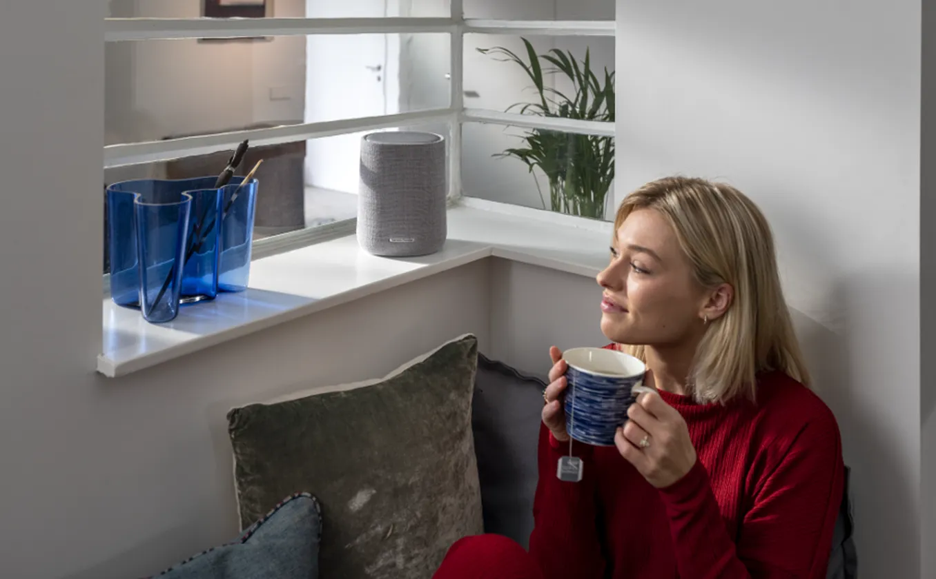 Harman Kardon Citation ONE MKIII