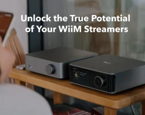 duo WiiM ULTRA + VIBELINK