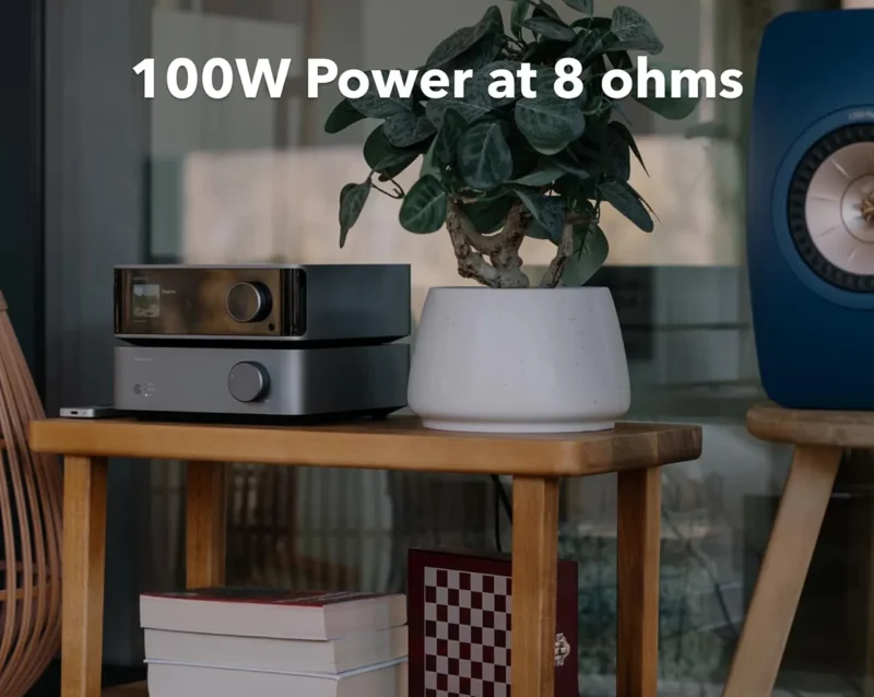 duo WiiM ULTRA + VIBELINK