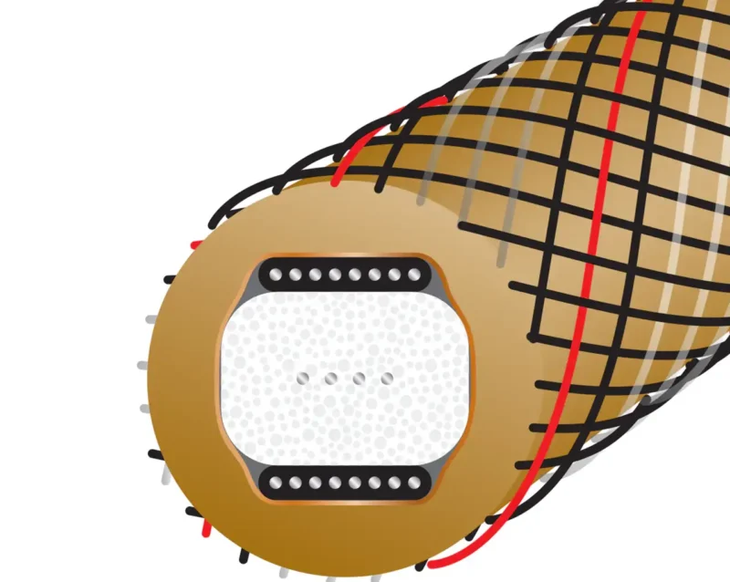 Koaksialni digitalni avdio kabel Gold Starlight 10