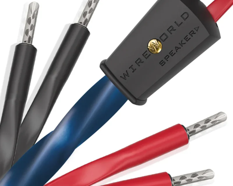 Zvočniški kabel Wireworld Oasis 10
