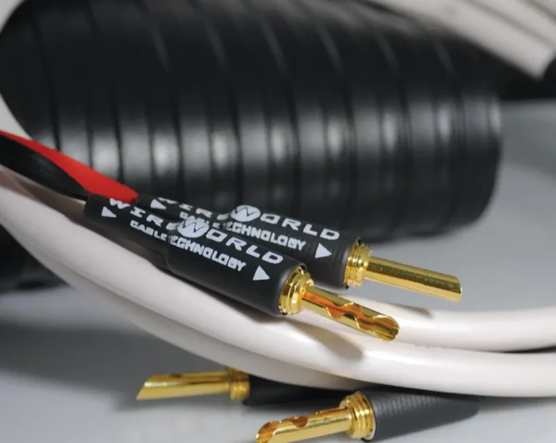 Zvočniški kabli Wireworld Stream 10