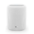 WiiM Sound Lite zvočnik za multiroom avdio sistem