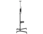 NorStone Vision One NorStone Vision One