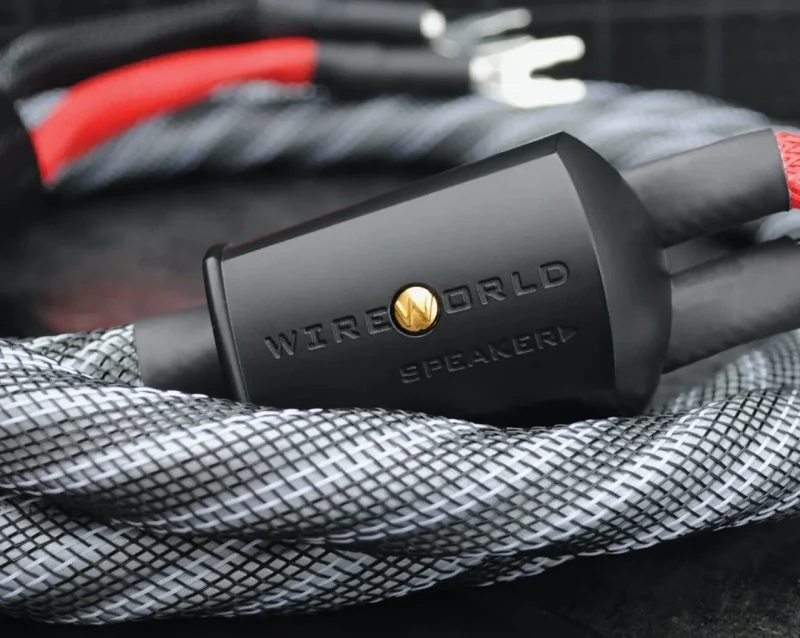 Zvočniški kabli Wireworld Platinum Eclipse 10
